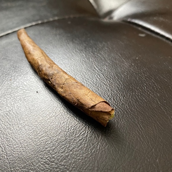 dankygazzdup